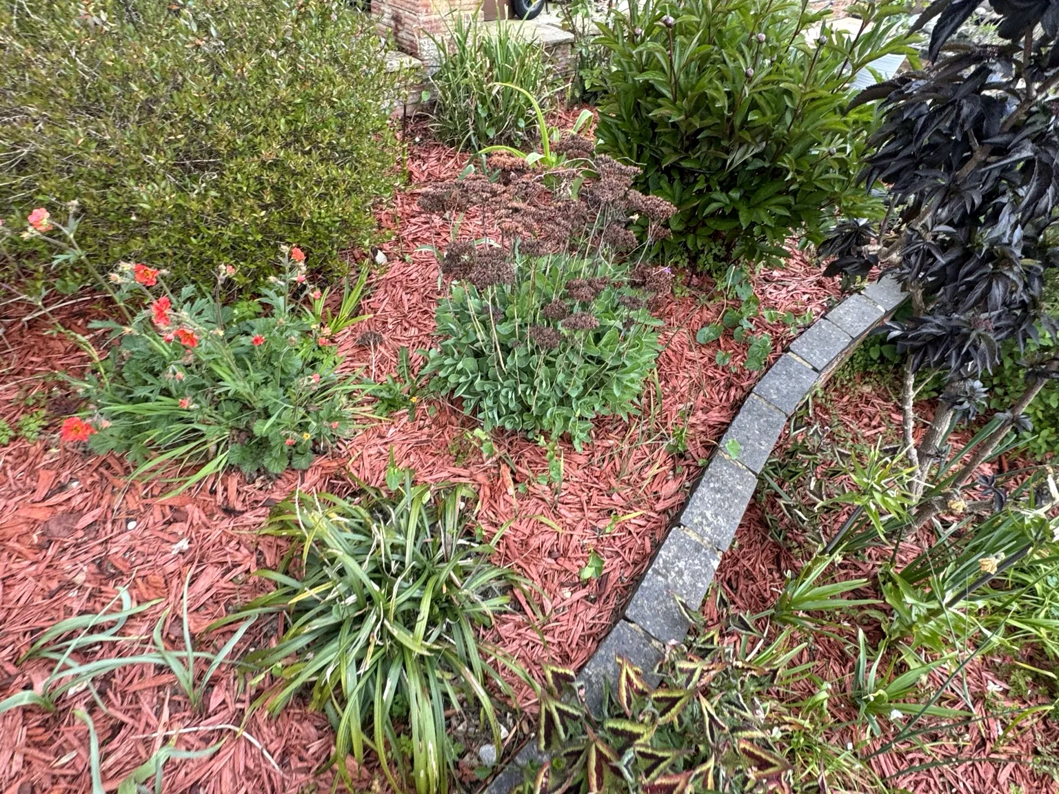 Maintained flower bed with decorative red bark mulch